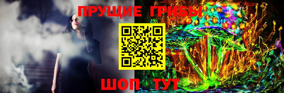 Псилоцибиновые грибы Psilocybe Кострома